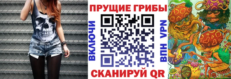Галлюциногенные грибы ЛСД  Купить  Приморско-Ахтарск 