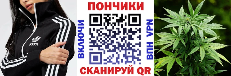 Канабис ГИДРОПОН  Купить  Приморско-Ахтарск 